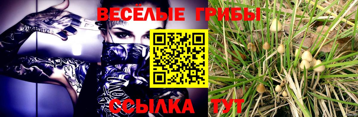 Галлюциногенные грибы GOLDEN TEACHER  Вход с VPN  Псилоцибиновые грибы ЛСД  закладка  Заводоуковск 